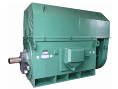 石河子Y系列6KV高压电机